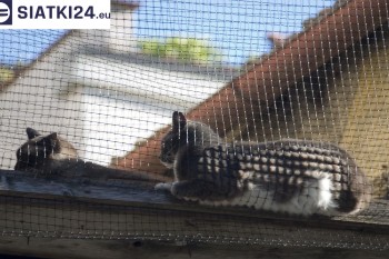 Siatki Wołomin - Siatka na balkony dla kota i zabezpieczenie dzieci dla terenów Wołomina